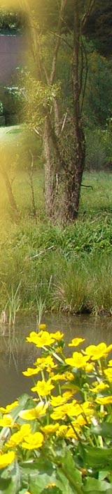 Pension Erika Fischer - Garten und Wohnen