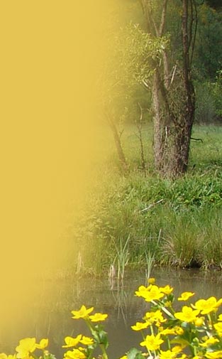 Pension Erika Fischer - Linkseite