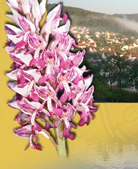 Pension Erika Fischer - Heigenbr�cken Spessart