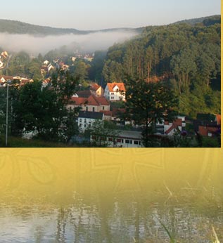 Pension Erika Fischer - Heigenbr�cken Spessart