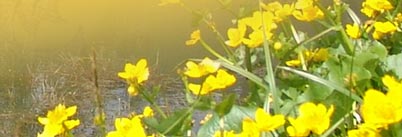 Pension Erika Fischer - Heigenbr�cken Spessart