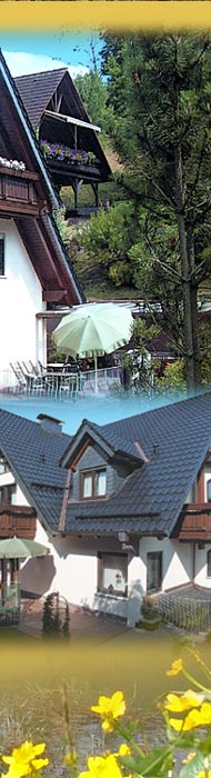 Pension Erika Fischer - Hausansichten