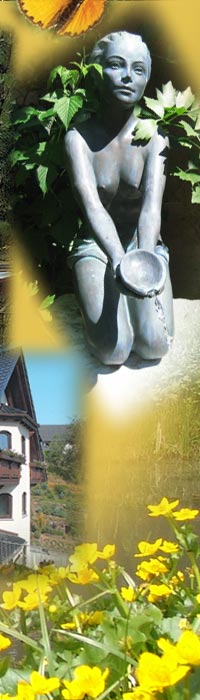 Pension Erika Fischer - Hausansichten