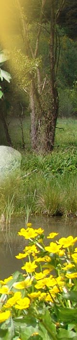 Pension Erika Fischer - Hausansichten