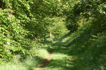 wanderweg1