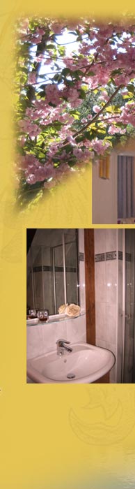 Pension Erika Fischer - Ferienzimmer