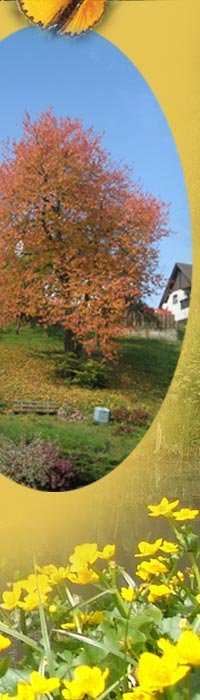 Pension Erika Fischer - Ferienzimmer
